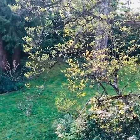 Appartement Akwant 2 Baden-Baden